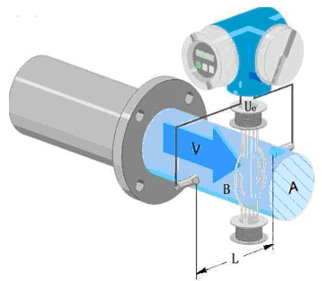 1636505850656850.jpg d5.jpg