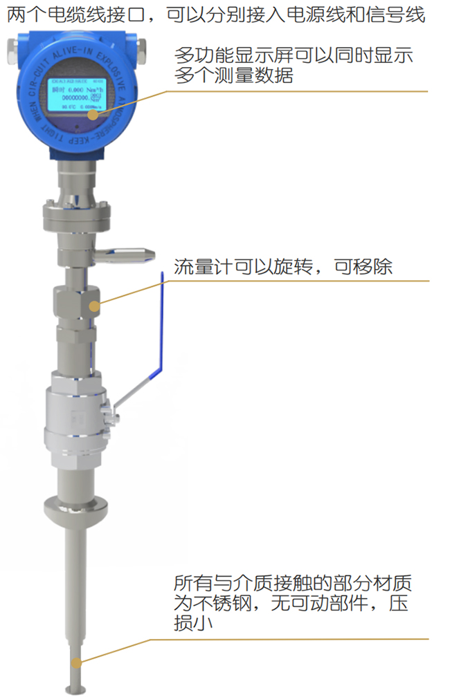 DN100熱式氣體質(zhì)量流量計結(jié)構(gòu)圖